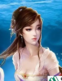 VU SƯ